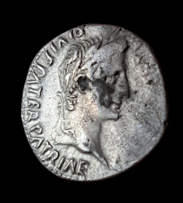Denario de Augusto ( capachitos )( forrado )