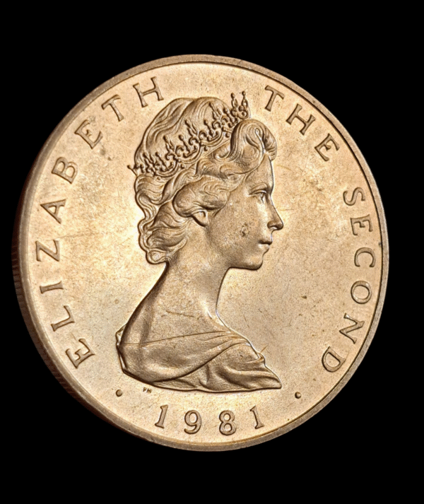 5 pounds Isla de Man 1981 virenium - Imagen 3